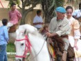 /album/fotogaleria-la-redota-2011/la-redota-pablo-6-jpg/